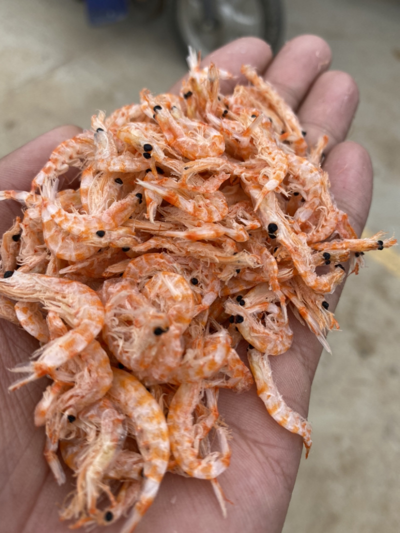 南极磷虾（干度好，盐分低）质量保证全国发货