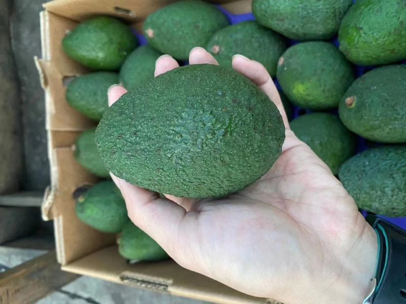秘鲁牛油果进口鳄梨4公斤纸箱装生牛油果