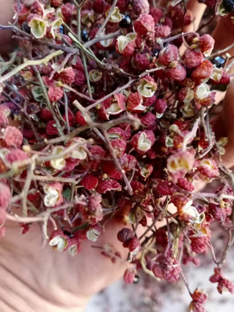 大红袍花椒，干，今年的新花椒，去籽的净货。包邮
