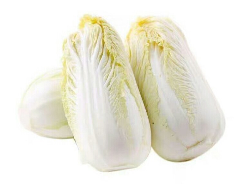 甘肃高山娃娃菜大白菜新鲜蔬菜时令应季生鲜蔬菜娃娃菜