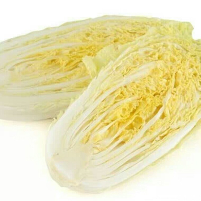 甘肃高山娃娃菜大白菜新鲜蔬菜时令应季生鲜蔬菜娃娃菜