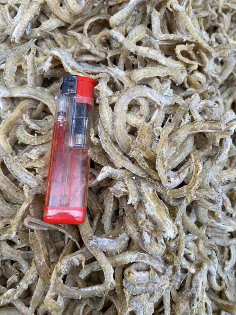 凤尾鱼（可用于加工休闲小食品，麻辣鱼等。量大）