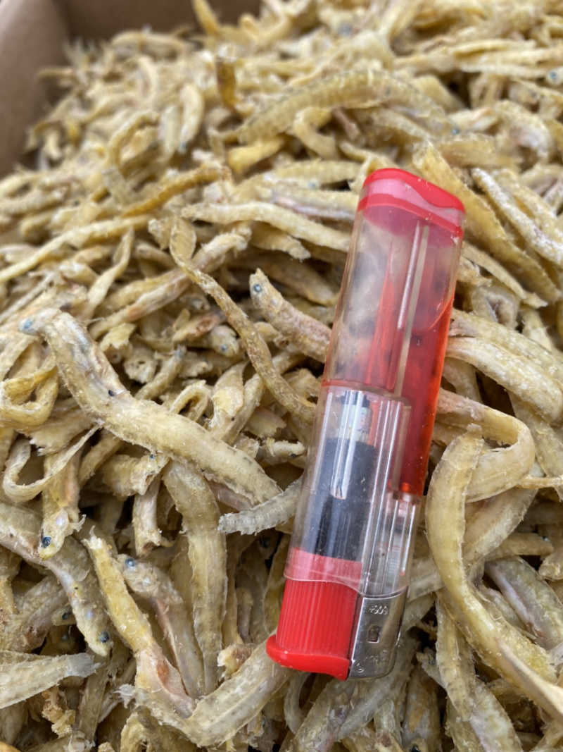 凤尾鱼（可用于加工休闲小食品，麻辣鱼等。量大）