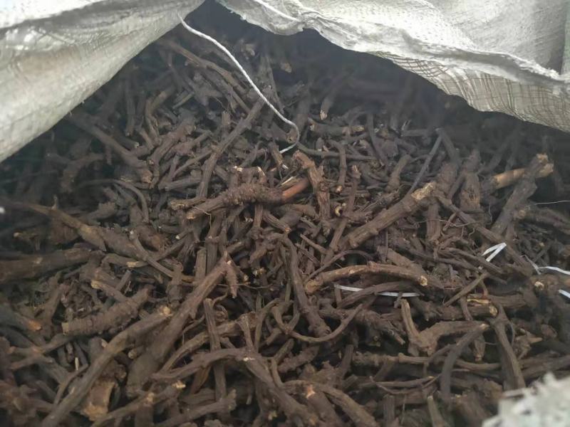 野生羌活产地直发质量保证支持视频看货