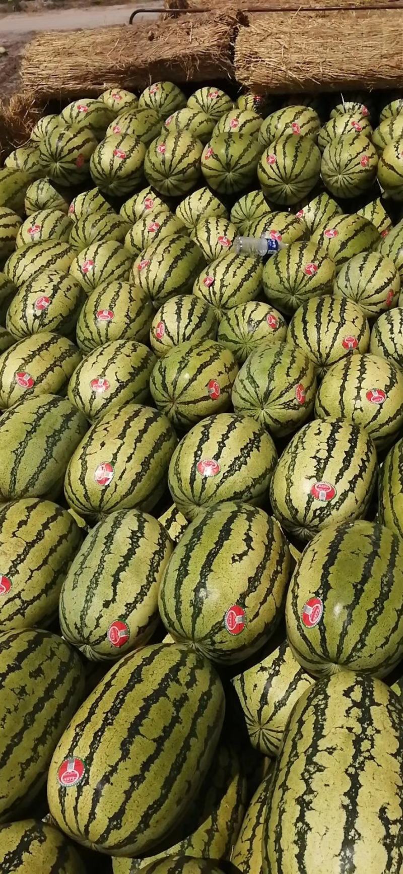 宁夏石头瓜，金城武西瓜。美都，冠龙，种类多