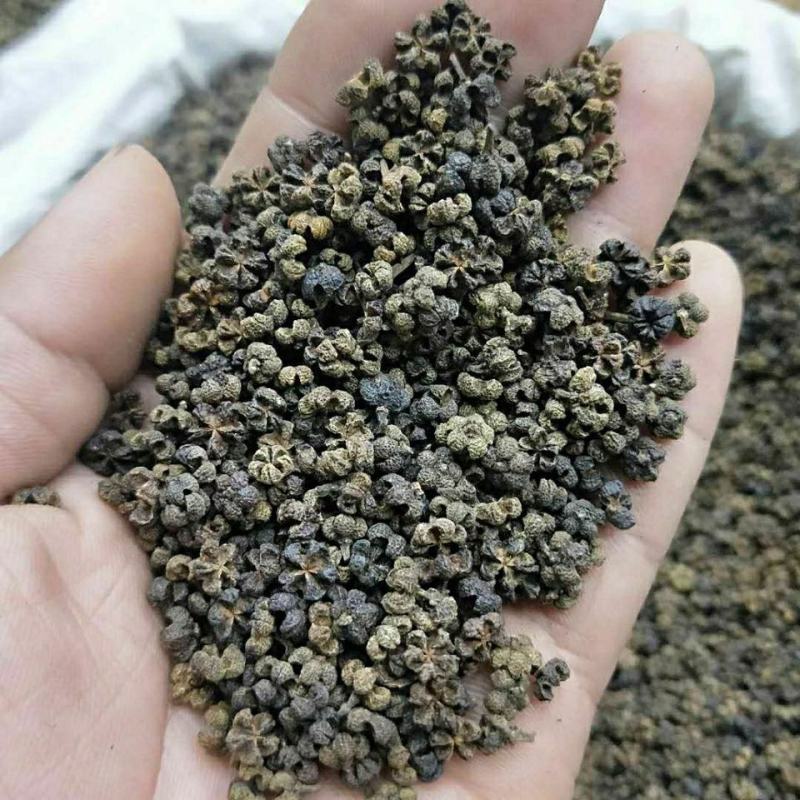 特级中花吴茱萸中药材,袋装,正品全国包邮,量大从优