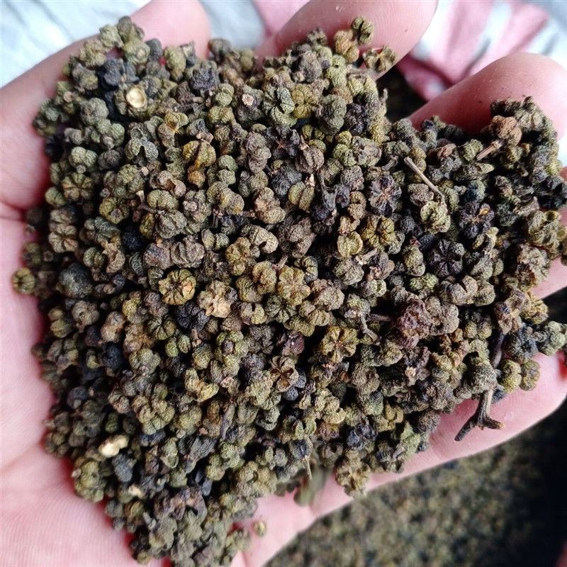 特级中花吴茱萸中药材,袋装,正品全国包邮,量大从优