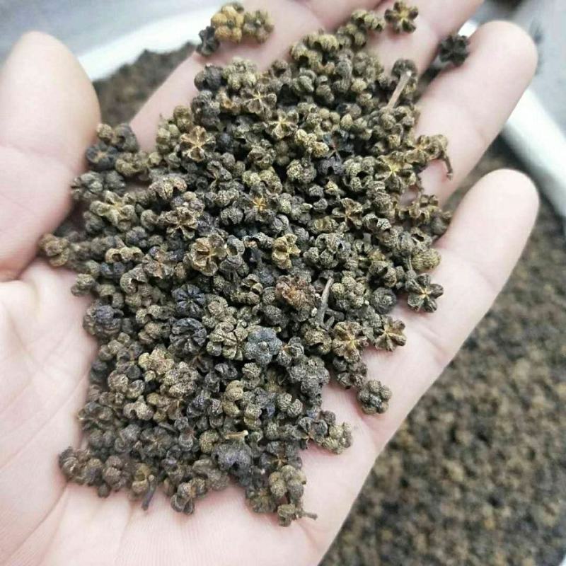 特级中花吴茱萸中药材,袋装,正品全国包邮,量大从优