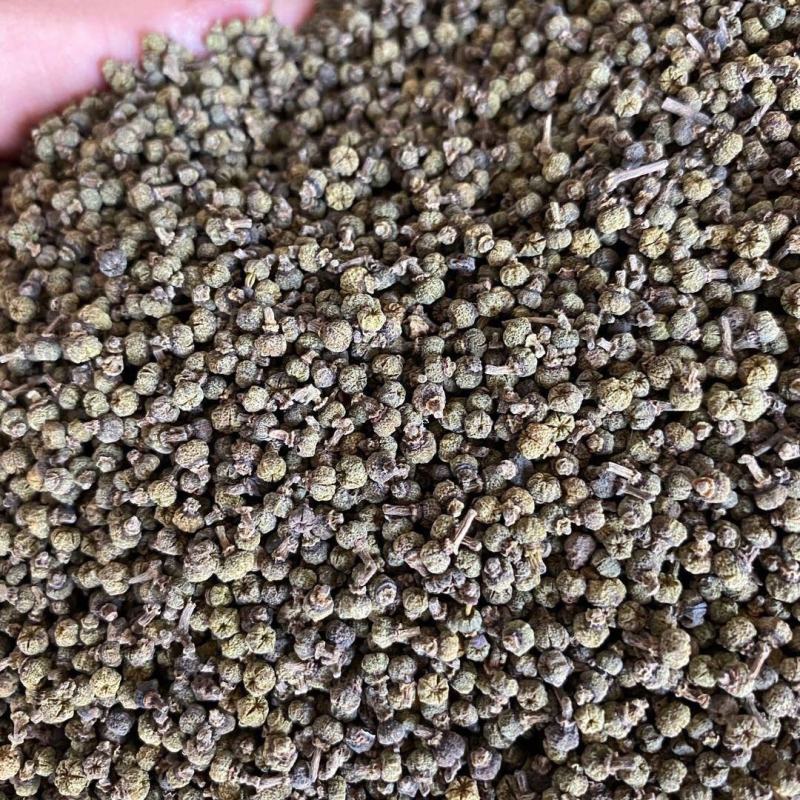 特级中花吴茱萸中药材,袋装,正品全国包邮,量大从优