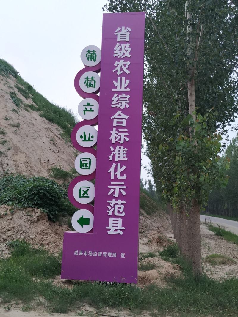 [实力供货]威县夏黑葡萄产地直供货源充足汁甜味美…