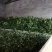 花椒基地自种自销，品质保证价格实惠量大从优