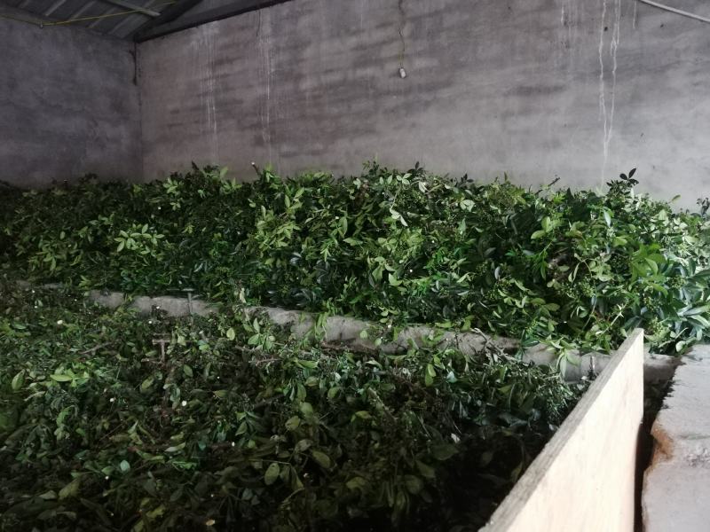 花椒基地自种自销，品质保证价格实惠量大从优