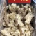 新鲜冷冻半成品全熟牛蹄筋/饭店、卤菜店专用,拼盘、红烧
