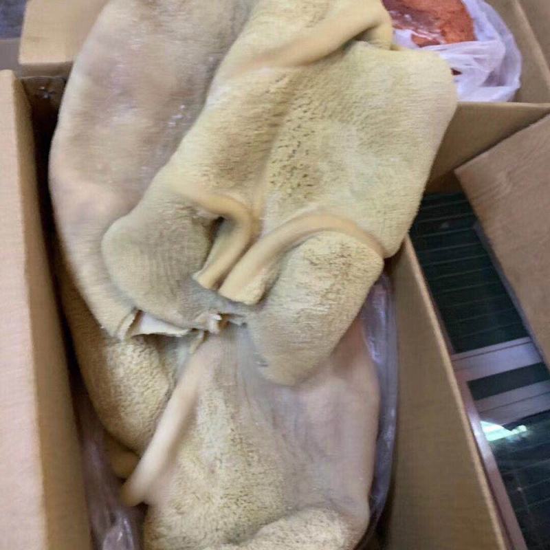新鲜优质半成品白、红牛肚20斤/装8-9成熟饭店卤菜店专