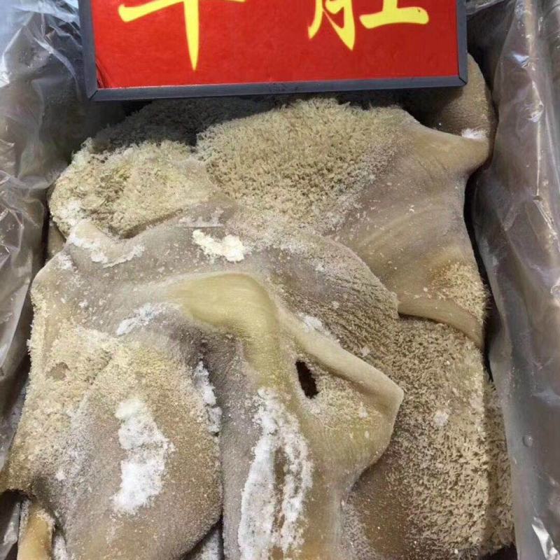 新鲜优质半成品白、红牛肚20斤/装8-9成熟饭店卤菜店专