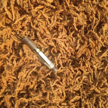 什邡市众康合作社精选高含量单枝黄连