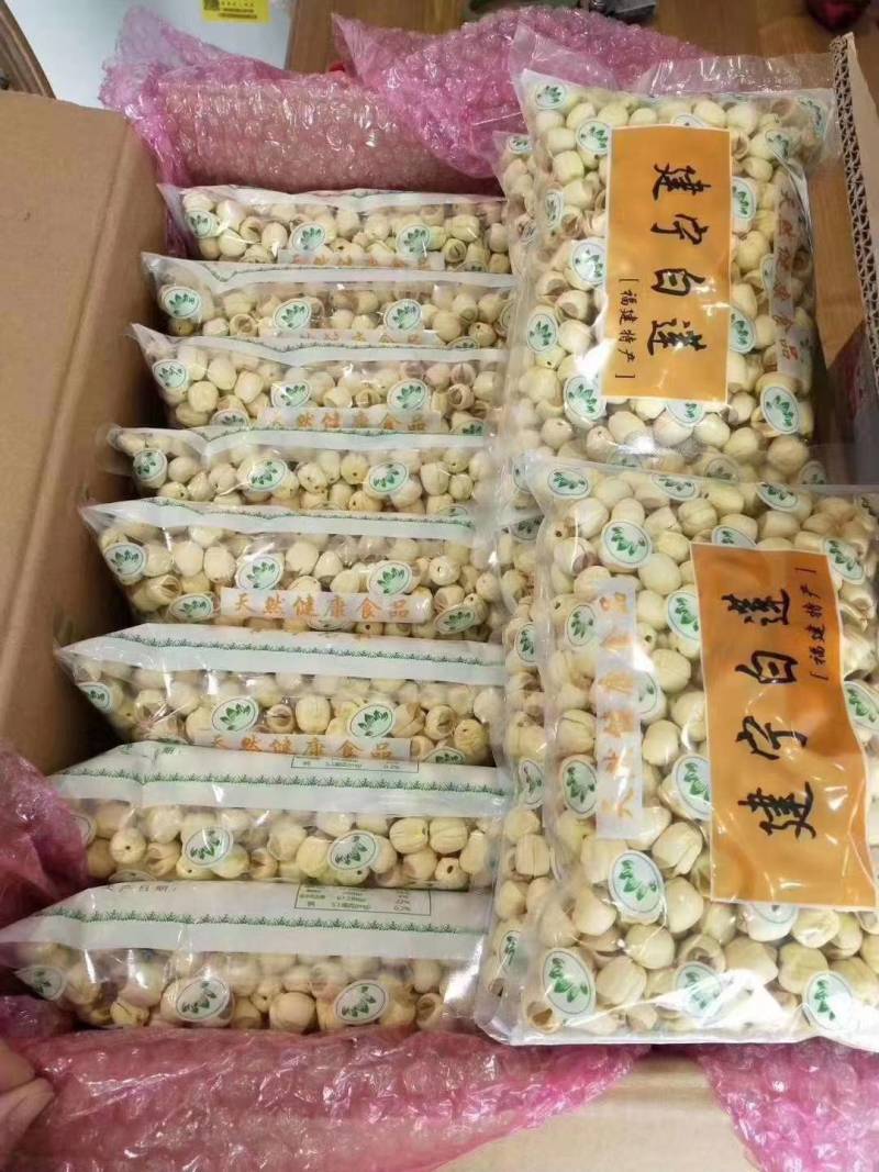 正宗福建建宁莲乡莲子