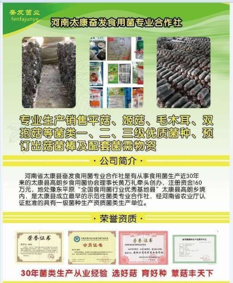 平菇栽培种，姬菇栽培种预售
