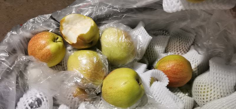 红香酥大量有货批发电商团购市场商超颜色漂亮，口感脆甜