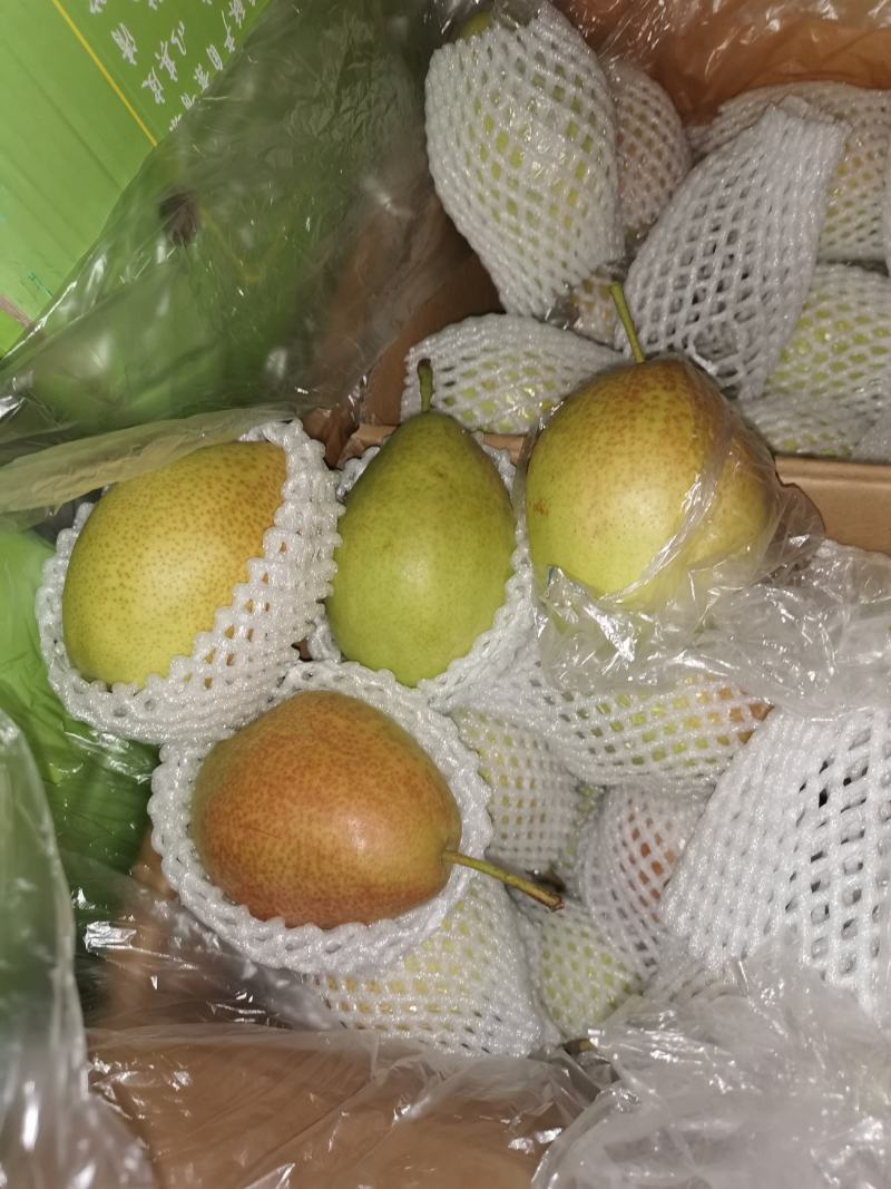红香酥大量有货批发电商团购市场商超颜色漂亮，口感脆甜