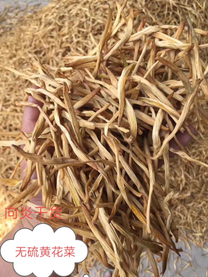 无硫黄花菜，直条黄花菜，针金菜一箱20斤