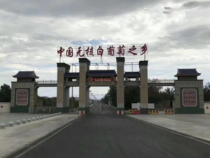 【包邮包赔】新疆吐鲁番无核白葡萄，一件代发！