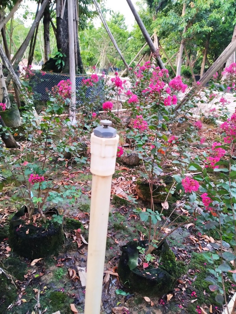 4分台式可调雾化喷头园林花木果蔬农场喷酒头草坪屋顶喷头