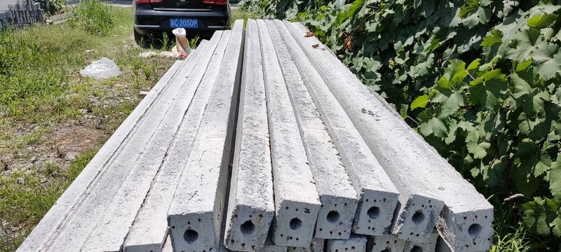 【有好货】温室大棚系列水泥立柱8×10cm大量供应