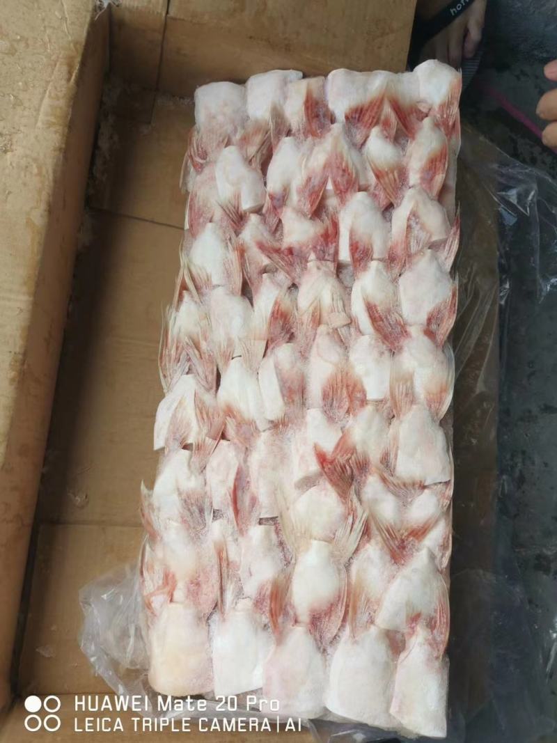 越南正关进口板冻巴沙鱼翅，鱼鳍。一件20斤