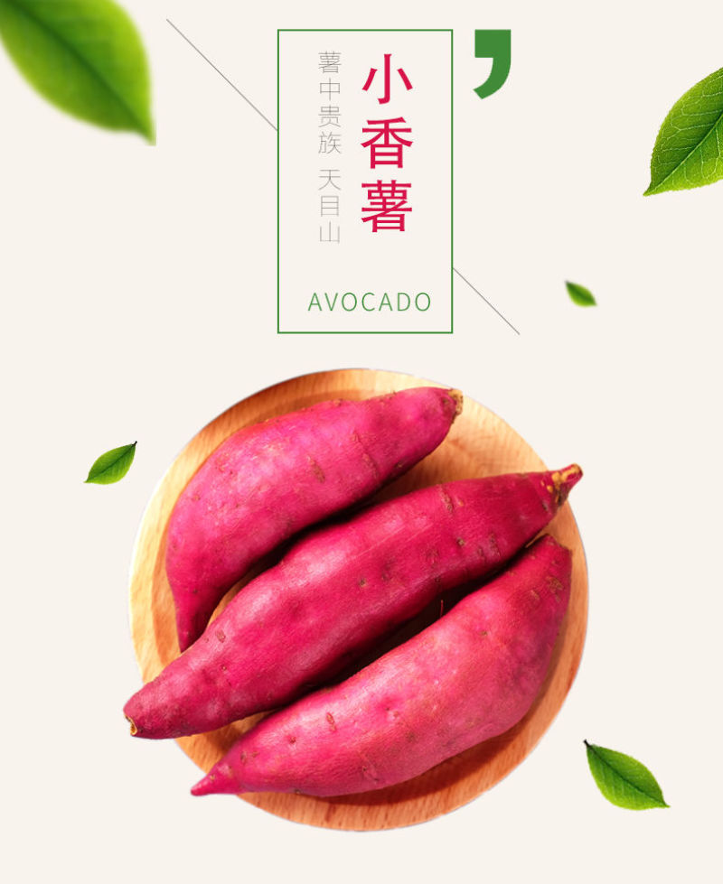 海南小香薯红薯，沙地小香薯地瓜大量上市，代办