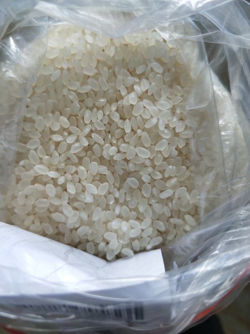 正宗东北大米圆粒工厂直供诚招代理批发，发汽运发火车皮!