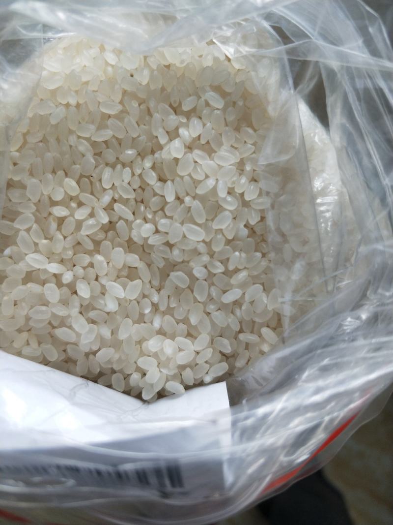 正宗东北大米圆粒工厂直供诚招代理批发，发汽运发火车皮!
