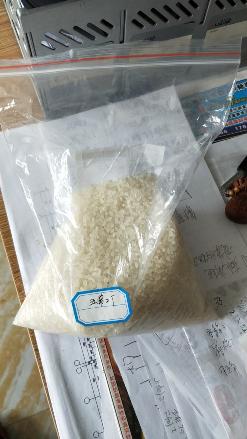 正宗东北大米圆粒工厂直供诚招代理批发，发汽运发火车皮!