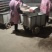黄粉虫黄粉虫卵黄粉虫干鲜活黄粉虫面包鱼饲料鱼食家直销