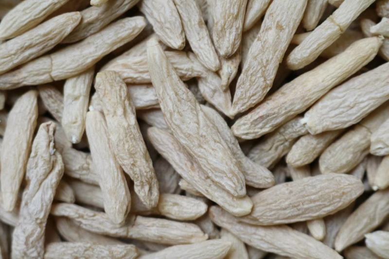 广州人大号麦冬大粒无硫货一件代发批发货源
