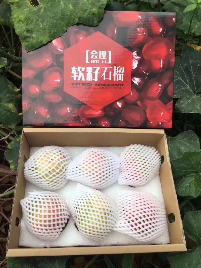 会理突尼斯软籽石榴商品果