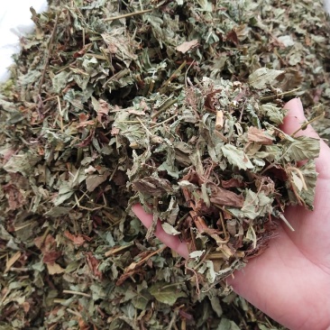 仙鹤草新货筛过粉，，产地直销，量大优惠