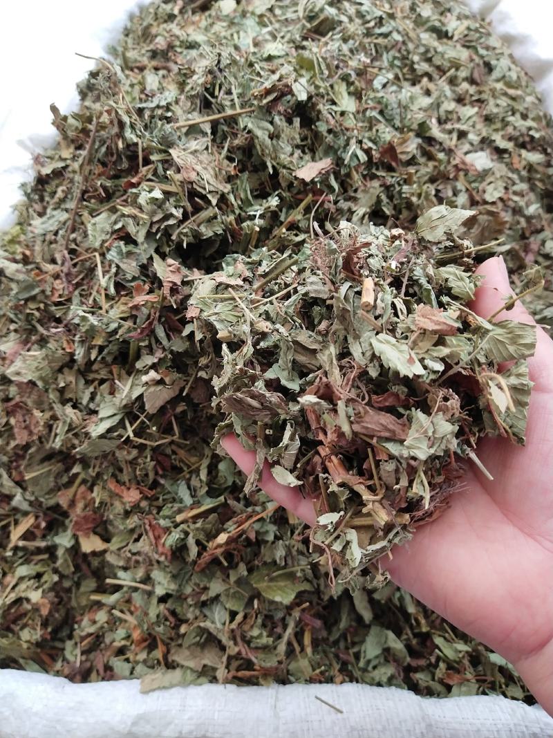仙鹤草新货筛过粉，，产地直销，量大优惠