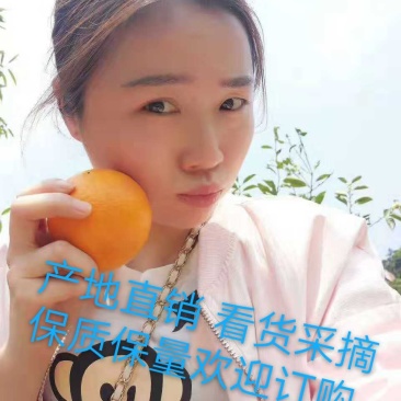 秭归长虹纽荷尔脐橙支持视频验货，打款发货