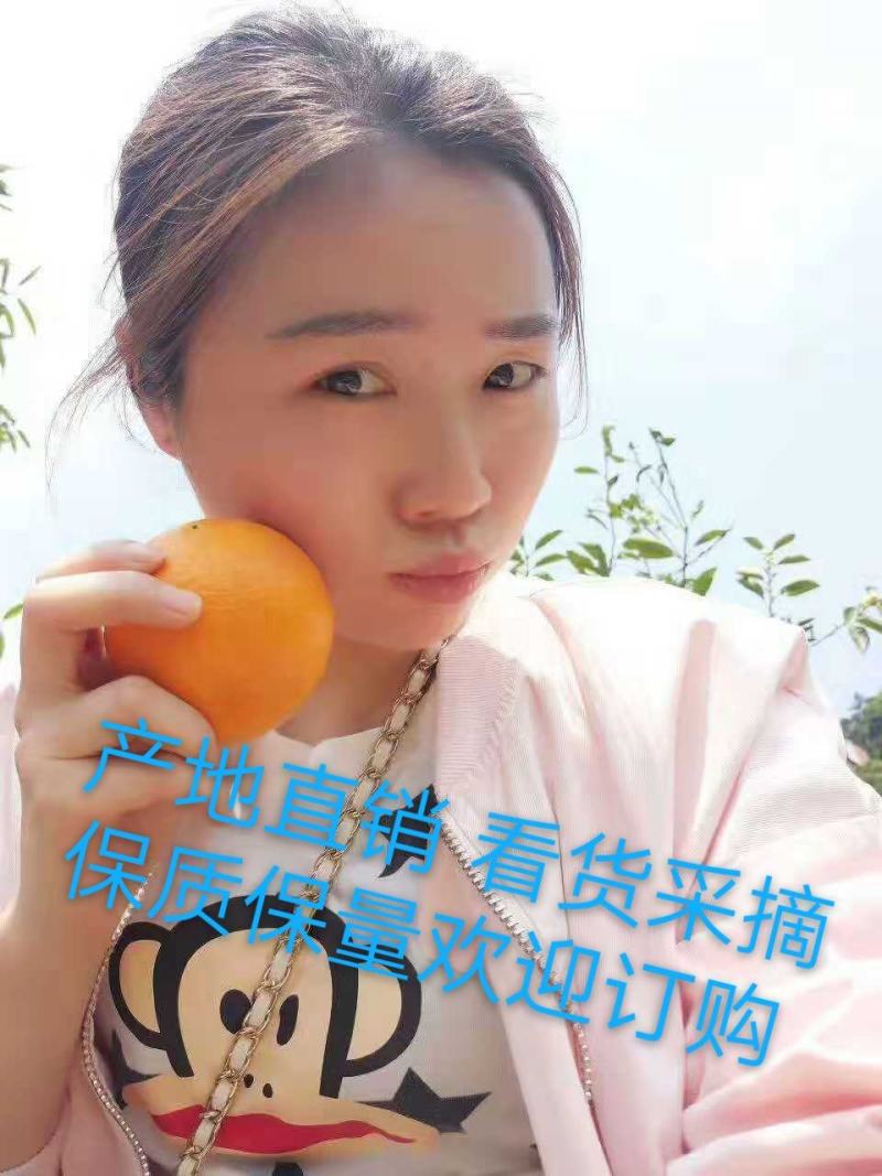 秭归长虹纽荷尔脐橙支持视频验货，打款发货