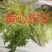 蔬菜配送