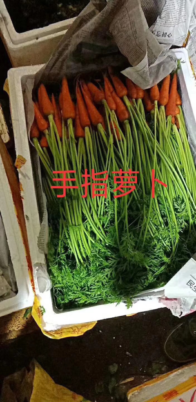 蔬菜配送