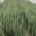 蔬菜配送