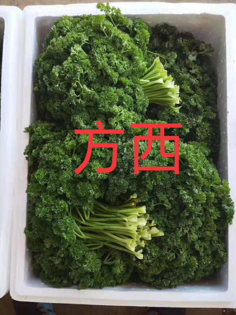 蔬菜配送
