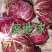 蔬菜配送