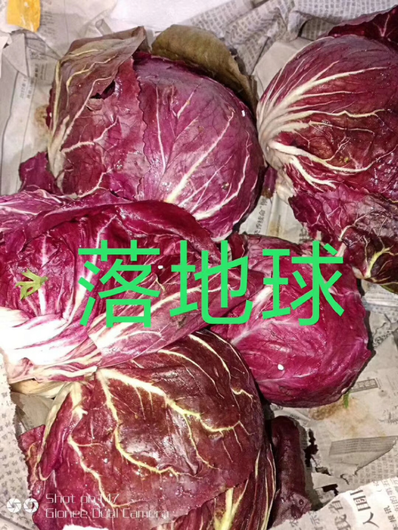 蔬菜配送