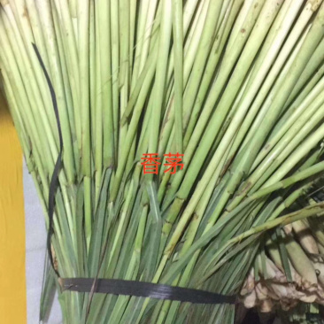 蔬菜配送
