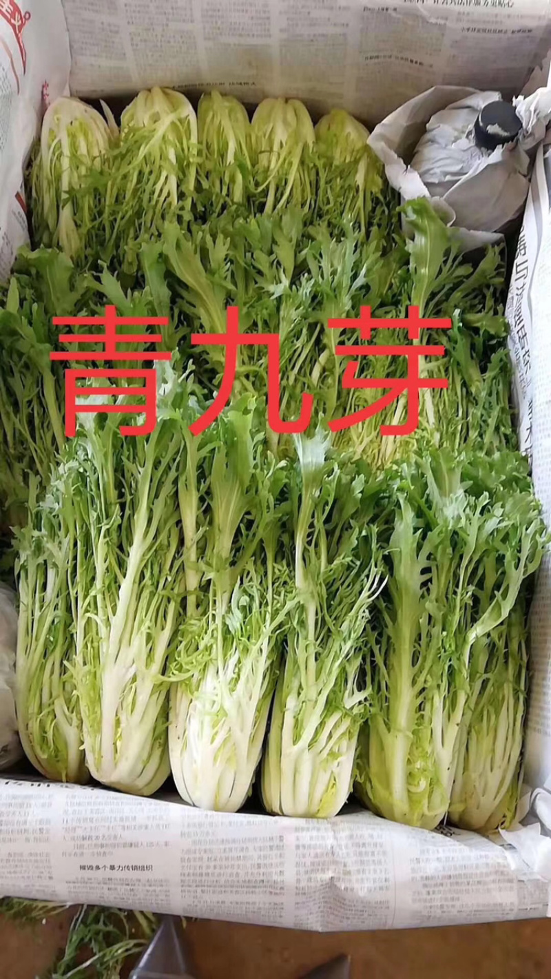 蔬菜配送