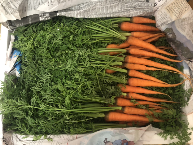 蔬菜配送