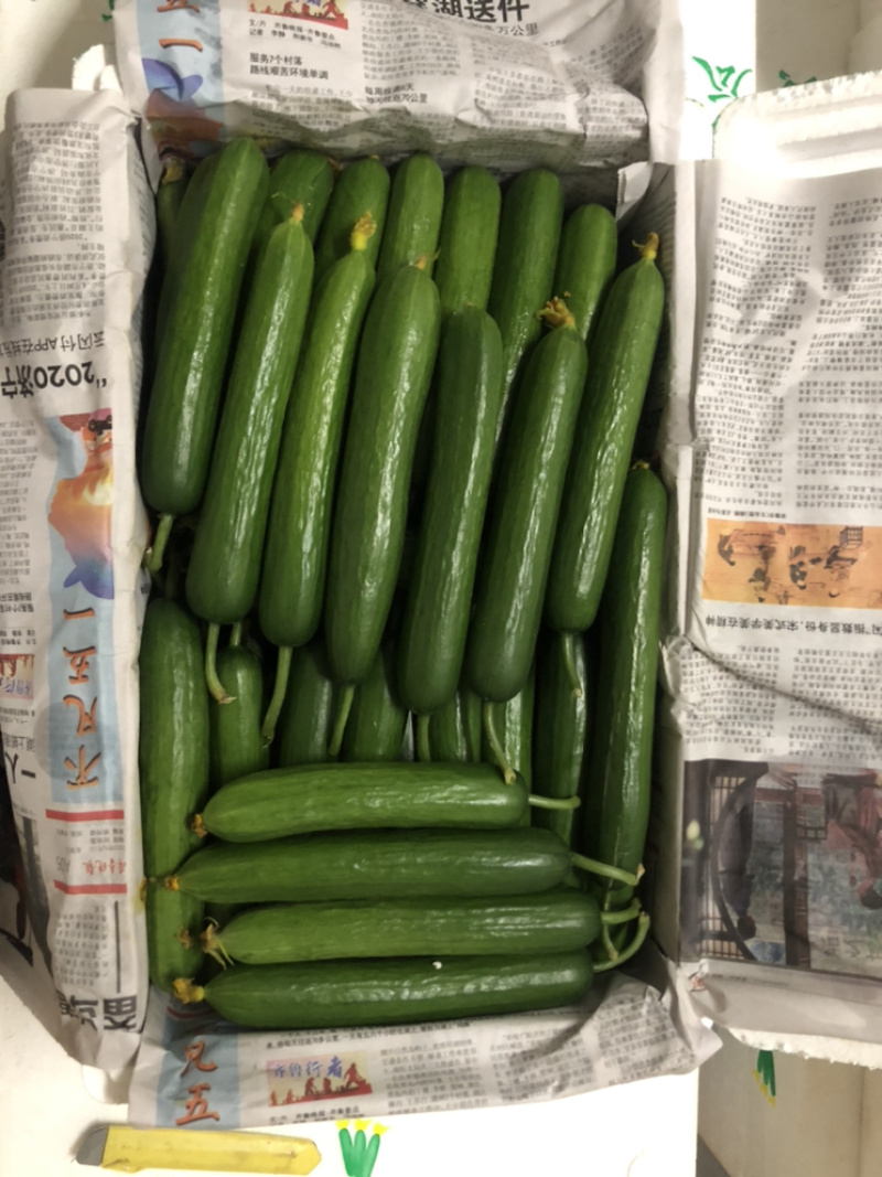 蔬菜配送